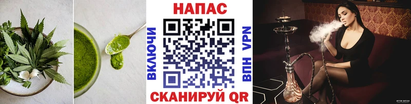 где купить наркоту  Сибай  Canna-Cookies конопля 