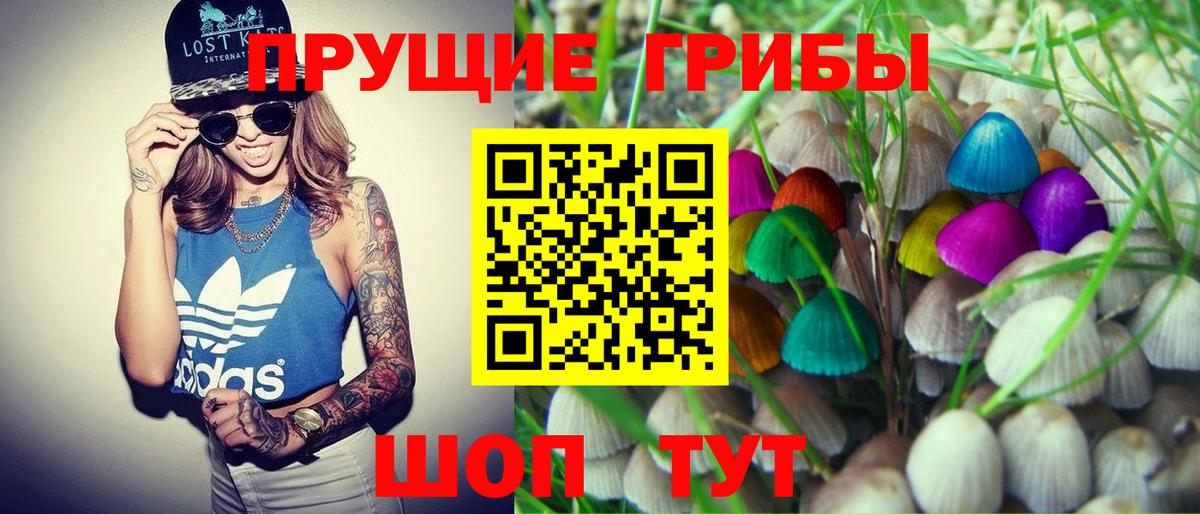 Псилоцибиновые грибы ЛСД Сибай