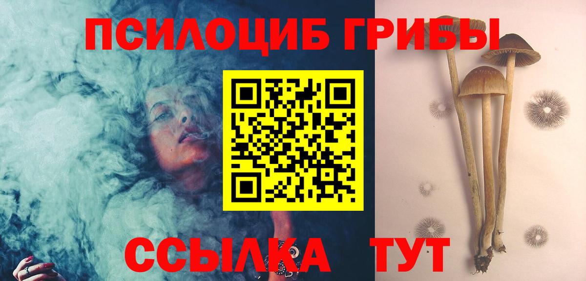 Галлюциногенные грибы Psilocybe  Вход с VPN  Сибай 